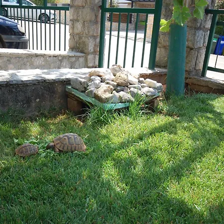 Samanic By El-pi Tours 아파트